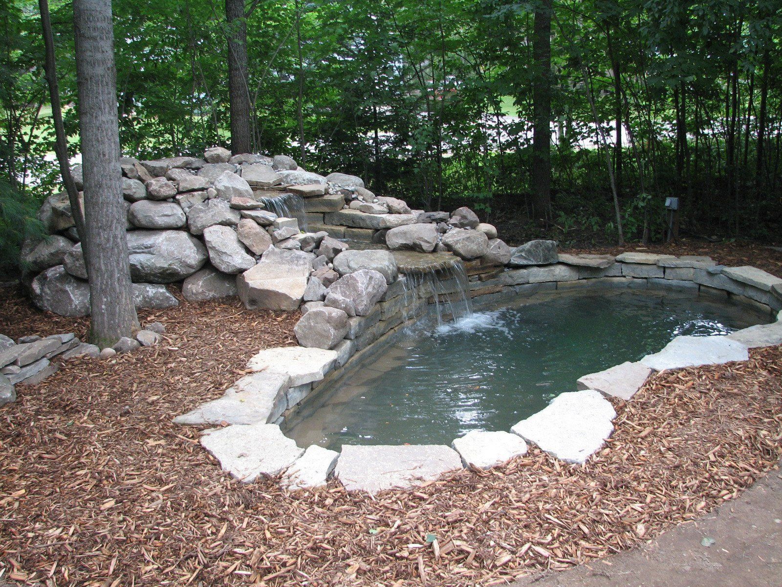 Garden pond or water feature with stone and plants